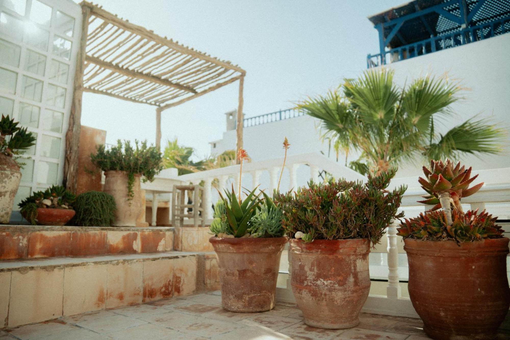 Baladin Riad Essaouira